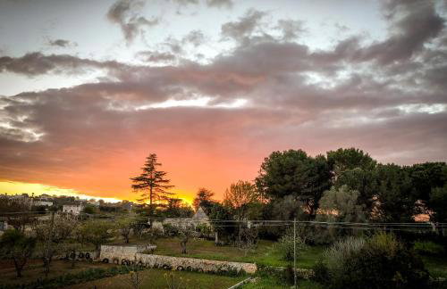 Masseria Latorre Locorotondo - Foto 11