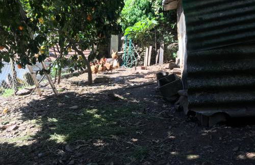 Casa do Volfrâmio - Foto 29