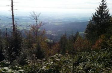 Ferienhaus Klingenbrunn - Foto 43