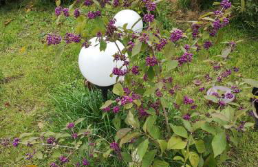 Ferienwohnung Schmidt - Foto 28