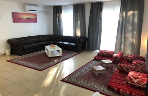 Sahara Falcon - Photo 28