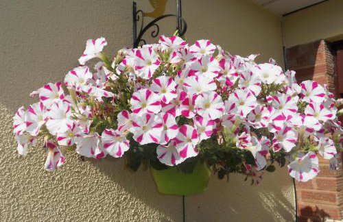 Teign Head Apartment - Foto 29