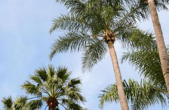 Dépendance La Casetta - Foto 3