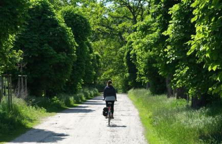 Agriturismo La Magione - Foto 24