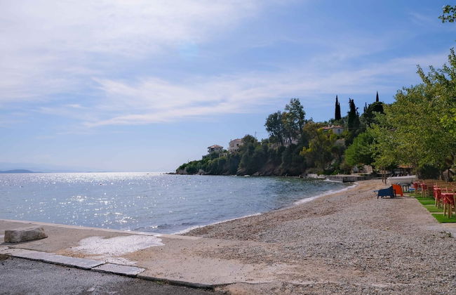 John s House - Chorto Pelion - Foto 41