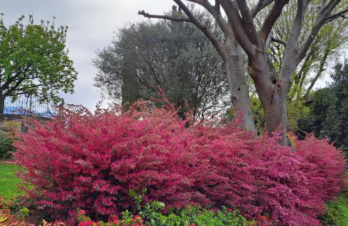 Villa Primula - Foto 76