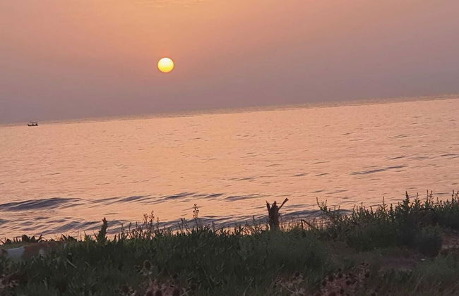 Maamoura Beach House - Foto 29