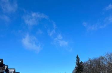 Studio aux pieds des pistes, des chemins de Rando - Foto 27
