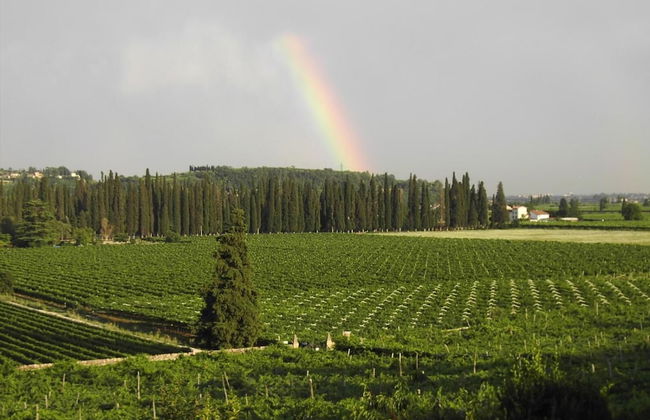 Agriturismo El Crear - Photo 43