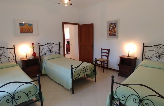 Azienda Agricola di Fietri - Foto 9