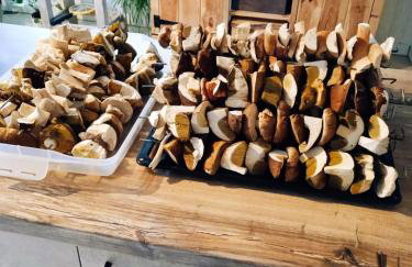 Cały dom na wyłączność - Ostoja Leśna Cisza - Foto 11