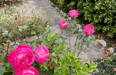 Midori-an 緑庵 - The Garden - Foto 69