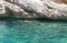 BenitiKe House - Foto 61