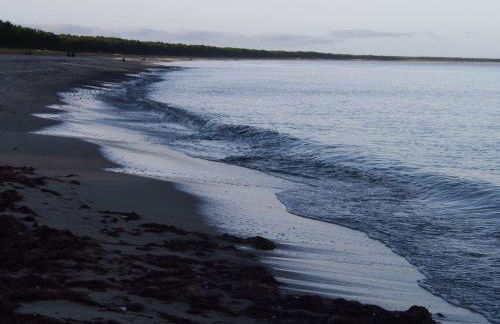 Gut-Rattelvitz-Galerie-D-hochwertig-Sauna-Kamin-eTankstelle-Spielscheune-15-000qm-Parkland - Photo 35