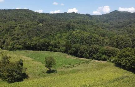 Quinta da Boa Vista São Chico - Foto 68