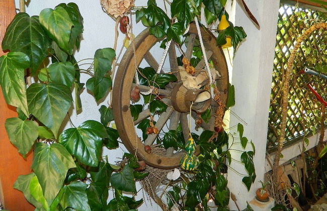 Apartments and Rooms Darinka - Foto 40