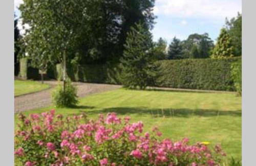 Harleyburn Cottages - Stables and Saddlery - Foto 17