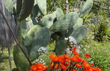 Villa Paolo Lemon Tree - Foto 76