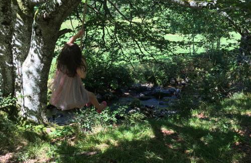 Haus Wiesengrund-Fahl - FeWo 4 - Foto 11