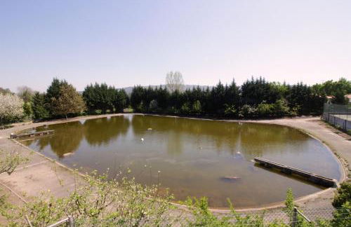 Casa do Lago - Foto 6