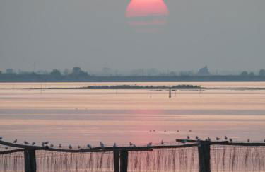 Agriturismo Ca' Bonelli 1924 - Foto 34