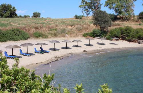 Konstantinos - Photo 21