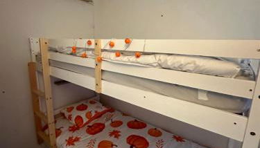 Le cocon de Marckolsheim proche Europapark - Foto 5