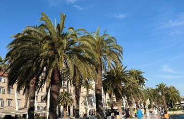 Apartman Laros - Foto 25