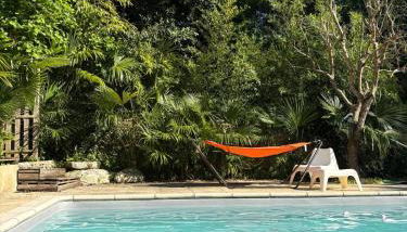 Les palmiers de Valence - Foto 2