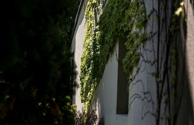 Agriturismo Le Chiusure - Foto 37