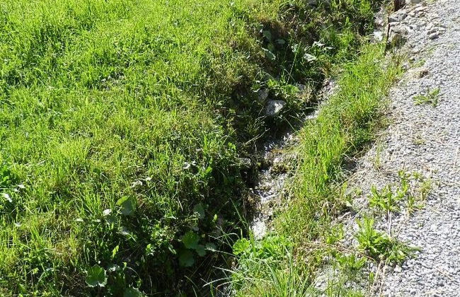 Majelas Heiti - Photo 8