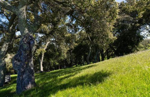 Hilltop Vistas-Private Pool, Firepit, Views - Foto 67