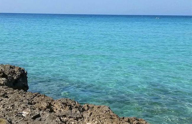 Villa A Due Passi Dal Mare Salento - Foto 16