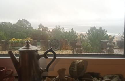 Casa na Floresta - Foto 11