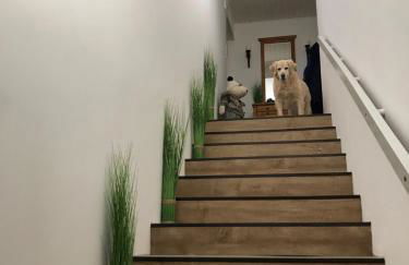 5 1/2 Zimmer Penthouse Luv und Lee - Foto 9