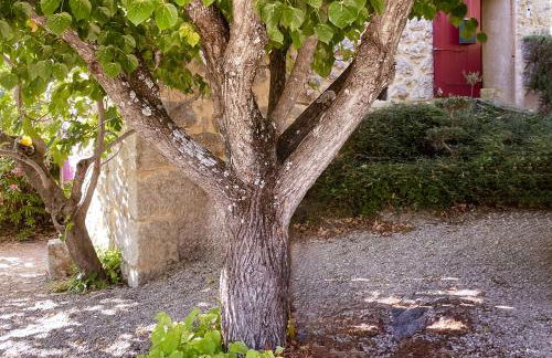 Secluded house with amazing view and swimming pool - Foto 8