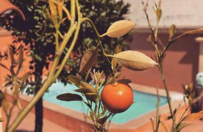 Villa ANTONIA - Foto 2