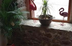 Apartamentos la casa de los ríos - Foto 48