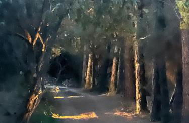 Agreen Country House - Foto 32