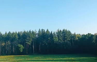 Gemütliches Appartement im Kottenforst Nähe Bonn - Foto 21