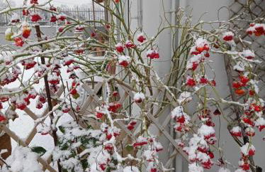 Niki Mountain House - Photo 45