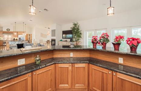 Oceanfront Luxury Villa 5Bedroom and 4Bath Beach Access - Photo 40