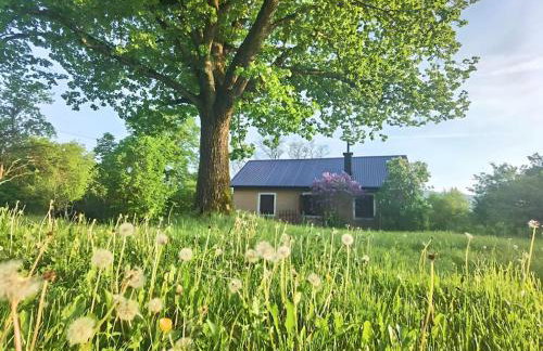 Kuca za odmor Lipa - Foto 1