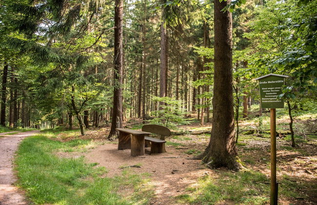 Ferienhaus Lichtung - Photo 73