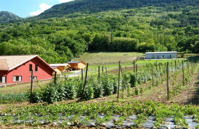 Fattoria Antica Forconia - Photo 20