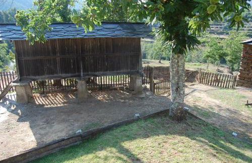 Casa de Campo "Quinta do Cadafaz" - Photo 5