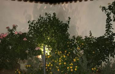 Holiday & House - Imparato Carini Costa Verde - Appartamento con giardino privato - porzione di Villa residenziale a pochi passi dal mare - Foto 10