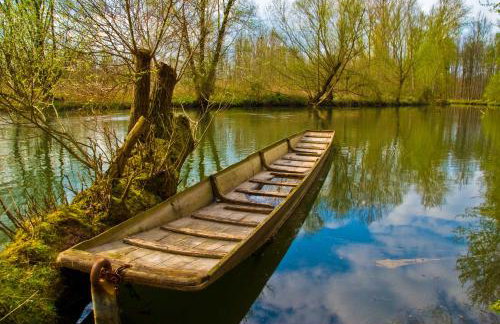 FeWo Oberle - Foto 7