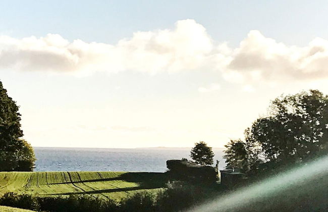 6 Person Holiday Home in Augustenborg - Foto 22