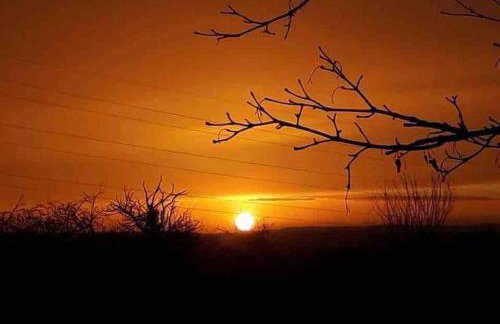 Romantic Shepherds hut with stunning sunsets - Photo 5